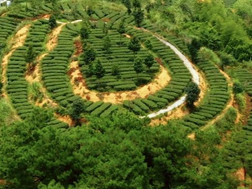 安溪茶叶公园