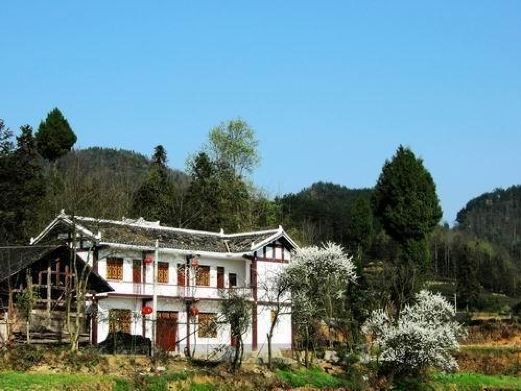 泾川田家沟生态风景区
