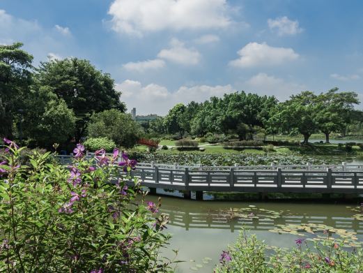 东莞植物园