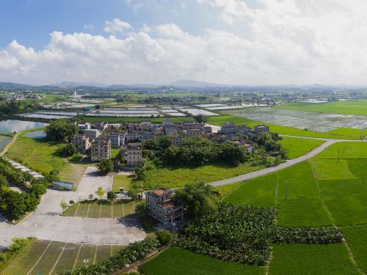 开平自力村