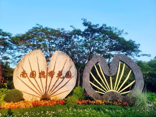 湛江南国热带花园