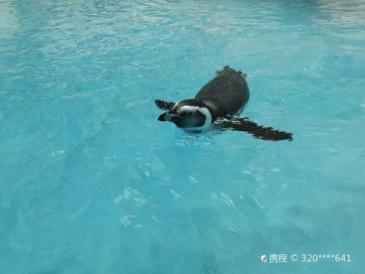 珠海海洋生态馆
