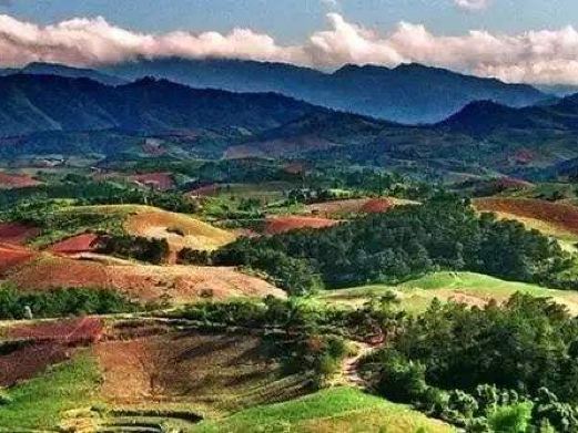 上思十万大山国家森林公园
