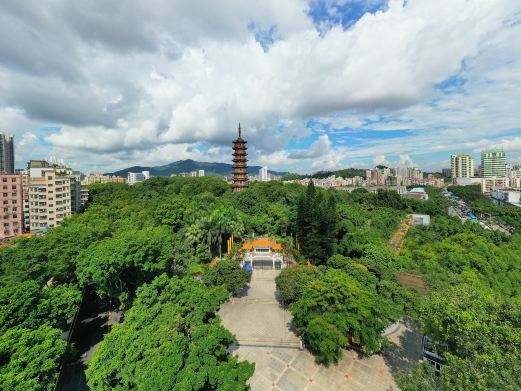 深圳龙华公园