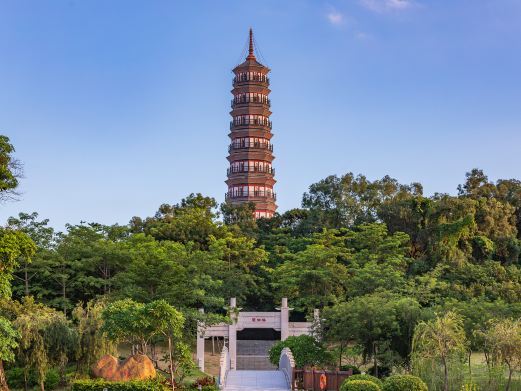 广州琶洲塔
