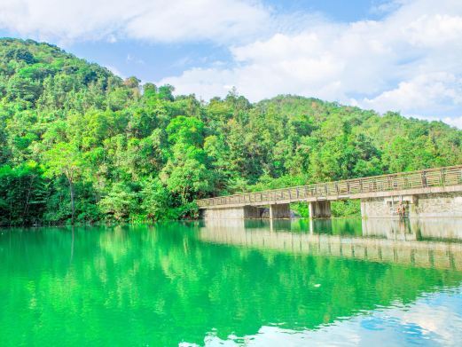 广州王子山森林公园