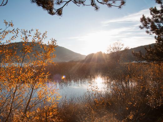 富川秀水状元村