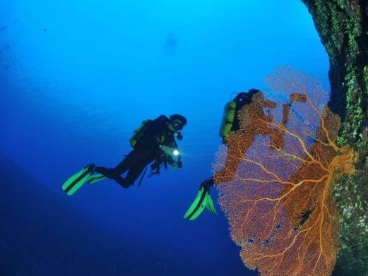 北海涠洲岛荣华潜水俱乐部