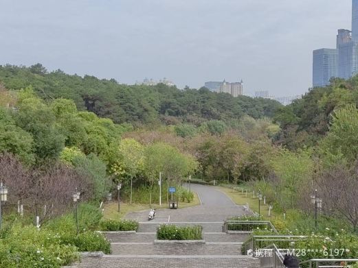 南宁樱花谷主题乐园