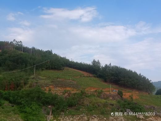 隆林天生桥旅游度假区