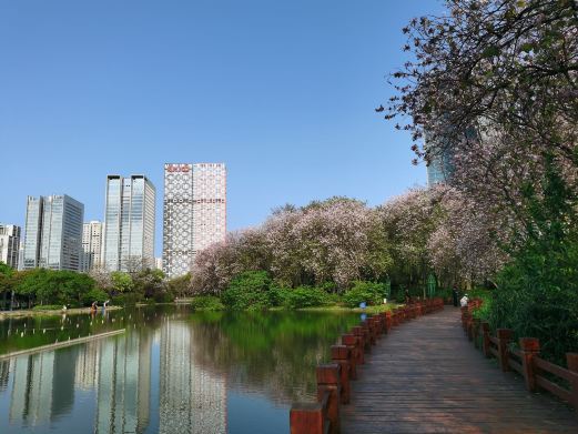 柳州市河东公园