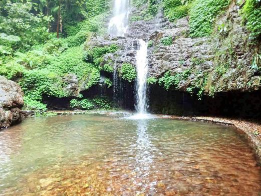 贺州大桂山国家森林公园