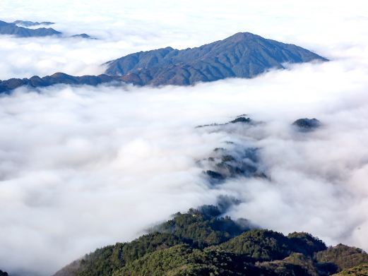 雷山雷公山国家森林公园