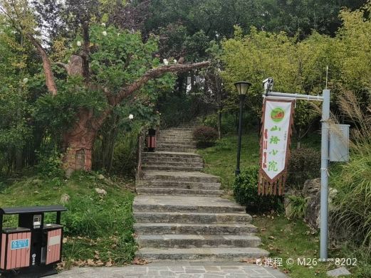 龙里松鼠林公园