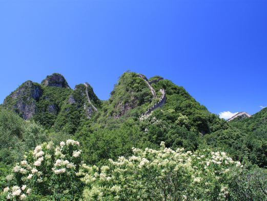 荔波龟背山