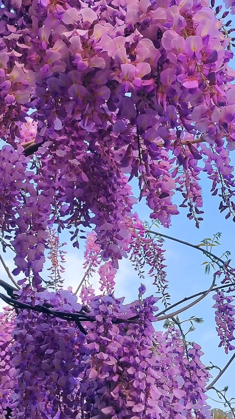 毕节德溪公园