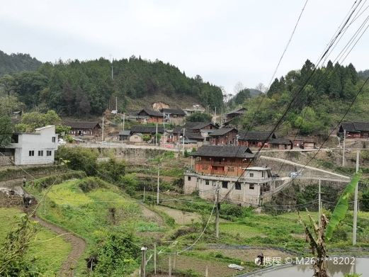 凯里六个鸡村