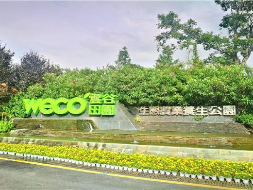 凯里云谷田园