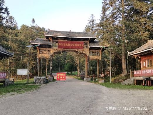 瓮安朱家山国家森林公园映山红景区