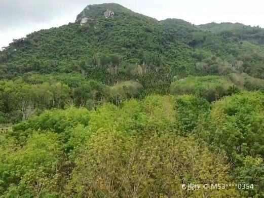 屯昌卧龙山