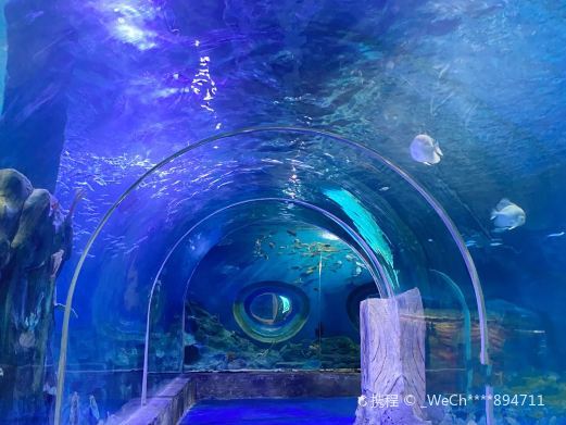 海口金海景海洋世界