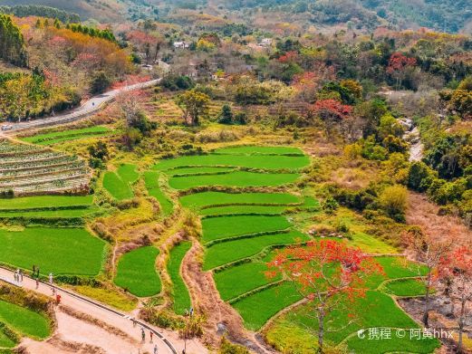 昌江木棉观景台
