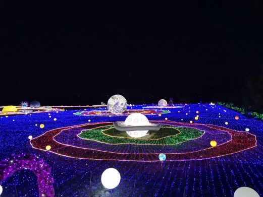 儋州海花岛珍奇特色植物园