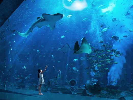 三亚亚特兰蒂斯失落的空间水族馆