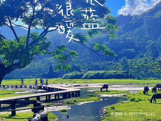 万宁观海亭