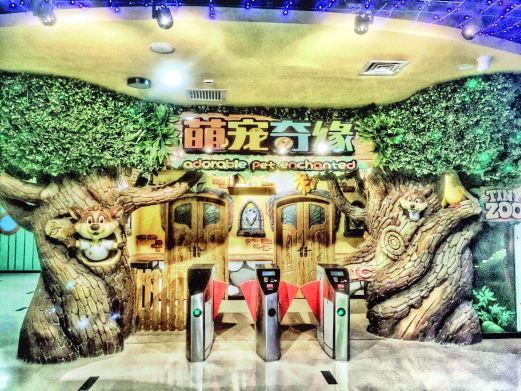 石家庄萌宠奇缘