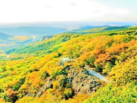 巴彦壹台山骆驼峰景区