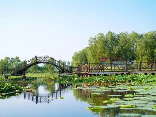 大庆黑鱼湖生态景区