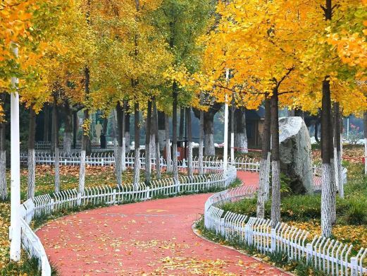 郑州树木园