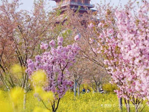 郑州市碧沙岗公园