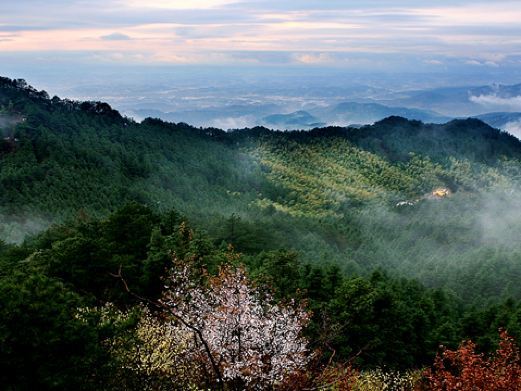 浠水湖北三角山旅游度假区