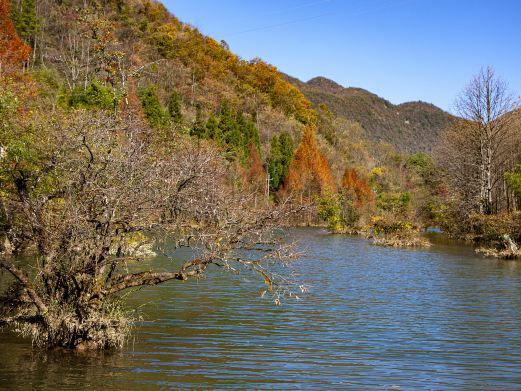 鹤峰董家河风景区
