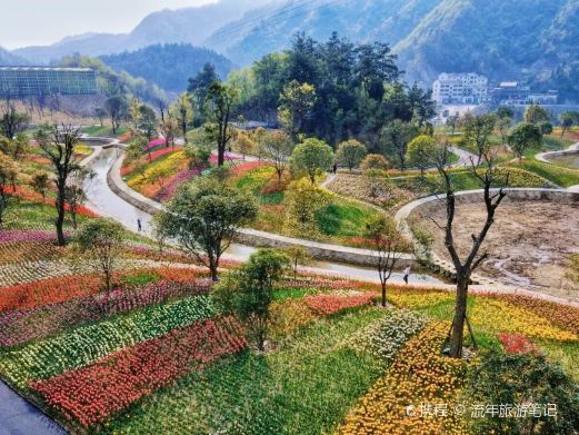 十堰秦巴生态植物园