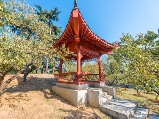 武汉东湖小梅岭