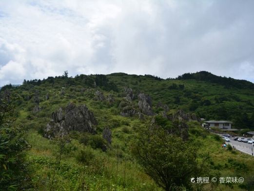 神农架凉风垭