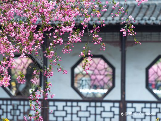 南京莫愁湖景区