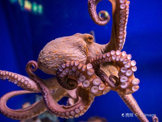 徐州水族展览馆
