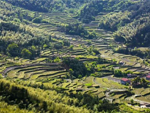 岳阳县相思山度假区