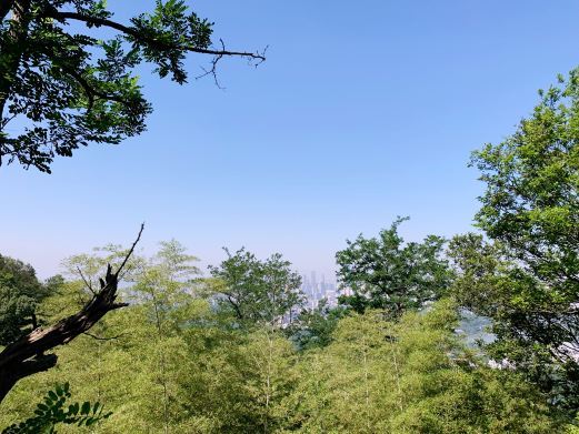 衡山紫金山