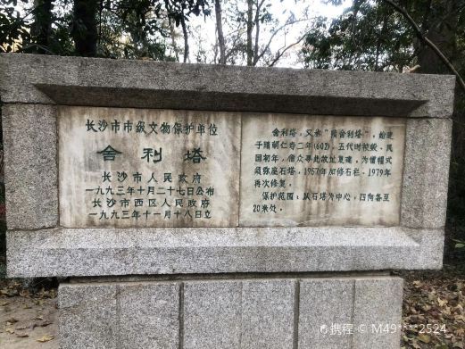 长沙隋舍利塔