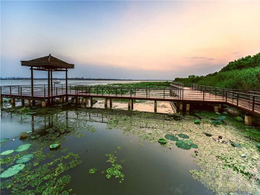 苏州阳澄湖莲花岛