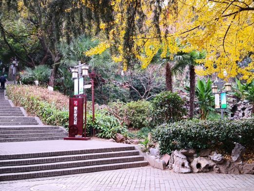 镇江伯先公园