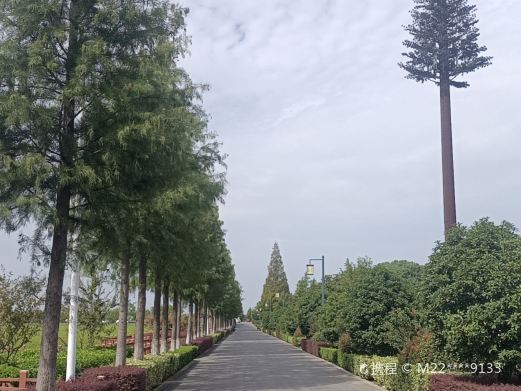 苏州林渡暖村