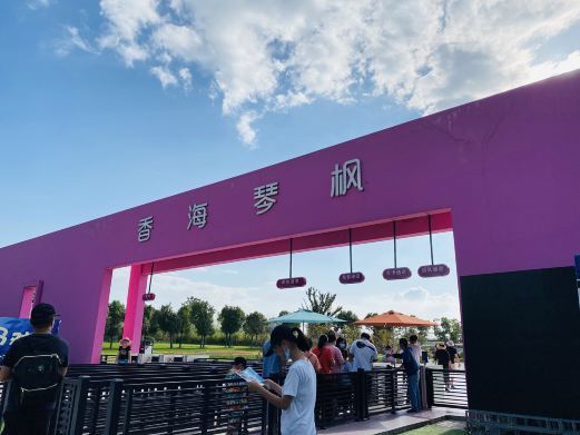 丹阳香海琴枫