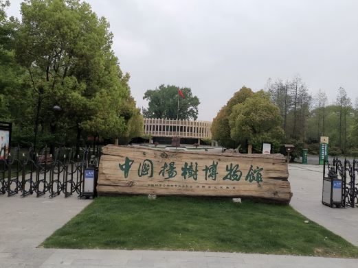 泗阳中国杨树博物馆