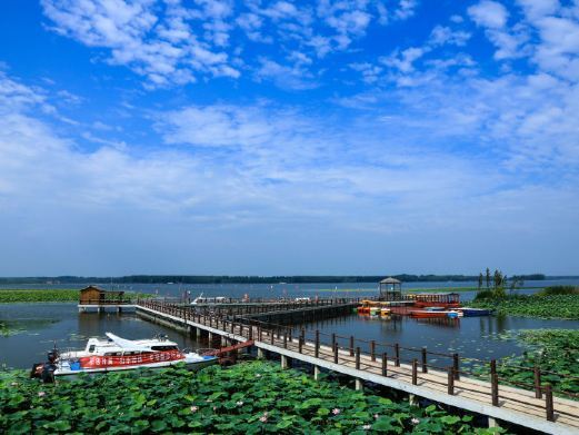 宝应湖国家湿地公园
